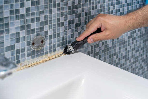 Best Black Mold Removal  in North Scituate, MA