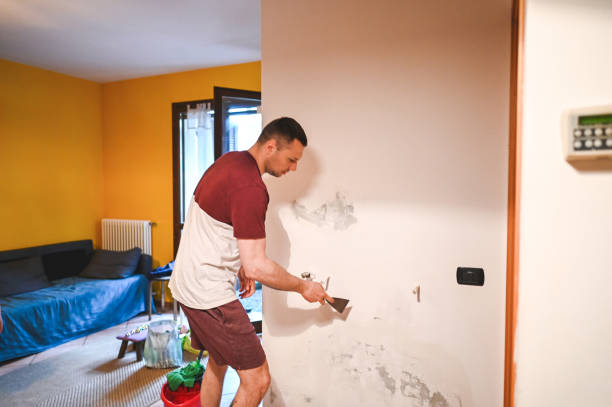 Best Certified Mold Removal  in North Scituate, MA